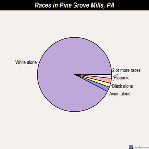 Pine Grove Mills races chart