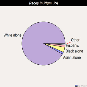 Plum races chart
