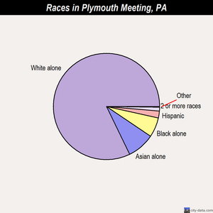 Plymouth Meeting races chart