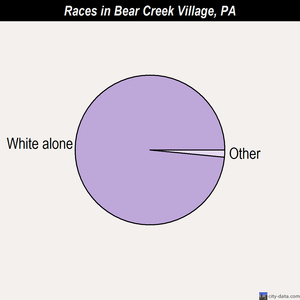 Bear Creek Village races chart