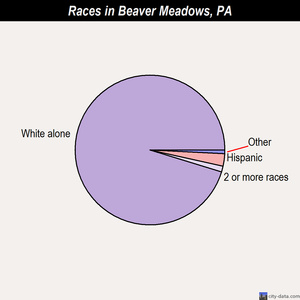 Beaver Meadows races chart