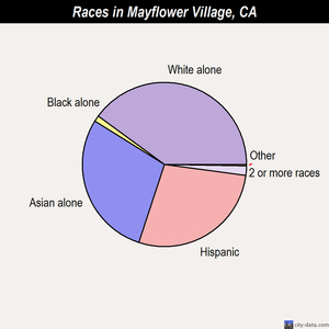 Mayflower Village races chart