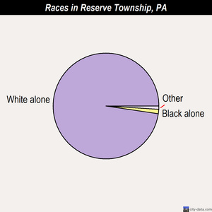 Reserve Township races chart