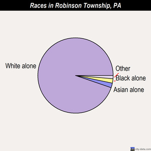 Robinson Township races chart