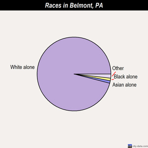 Belmont races chart