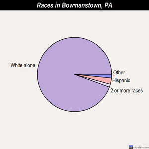 Bowmanstown races chart