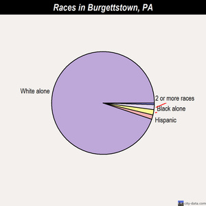 Burgettstown races chart