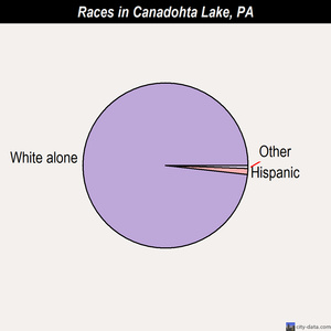 Camp Hill races chart