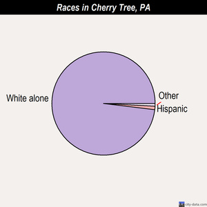 Cherry Tree races chart
