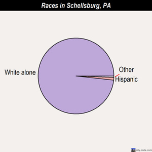 Schellsburg races chart