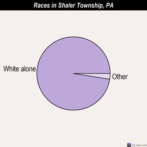 Shaler Township races chart