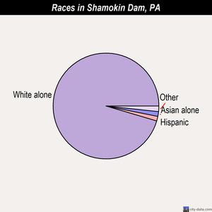 Shamokin Dam races chart