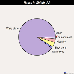 Shiloh races chart