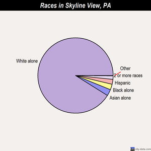 Skyline View races chart