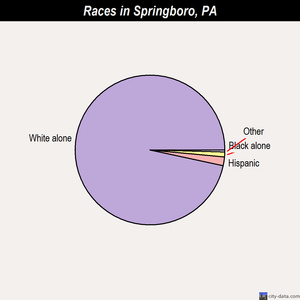 Springboro races chart