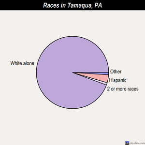 Tamaqua races chart