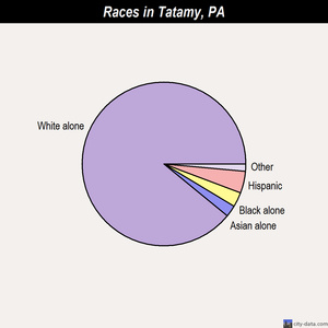 Tamaqua races chart