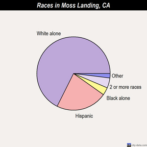 Moss Landing races chart