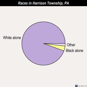 Harrison Township races chart