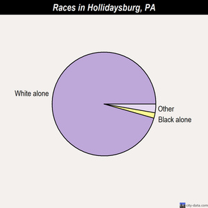 Hollidaysburg races chart