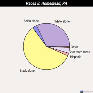 Homestead races chart