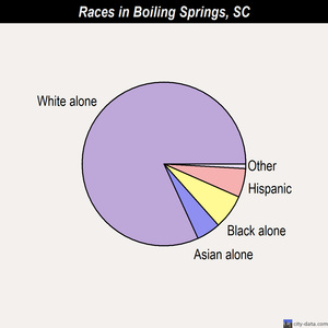 Boiling Springs races chart