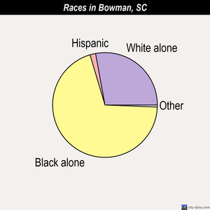 Bowman races chart