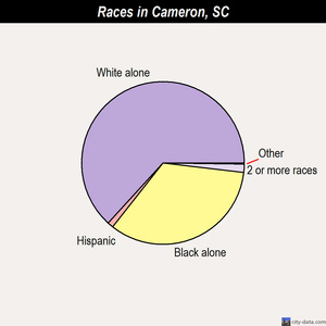 Cameron races chart
