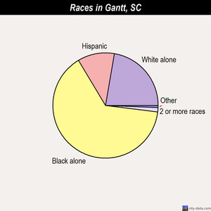 Gantt races chart