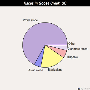 Goose Creek races chart