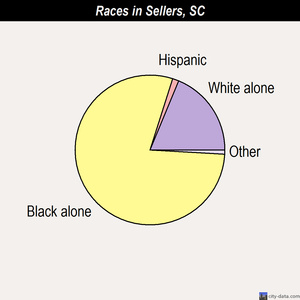 Sellers races chart