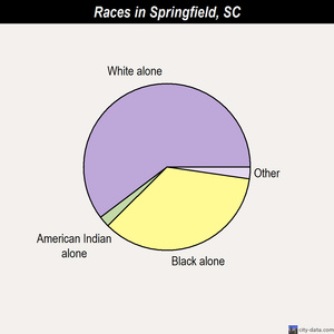 Springfield races chart