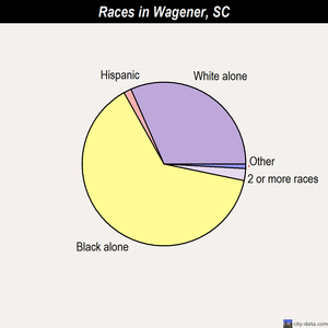Wagener races chart