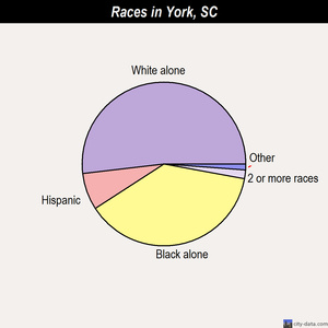 York races chart