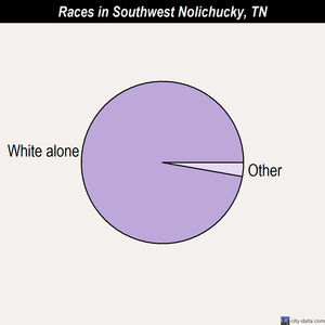 Southwest Nolichucky races chart