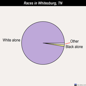 Whitesburg races chart