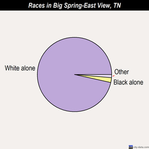 Big Spring-East View races chart