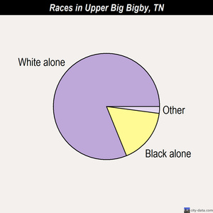 Upper Big Bigby races chart