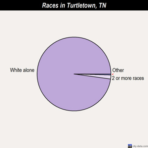 Turtletown races chart