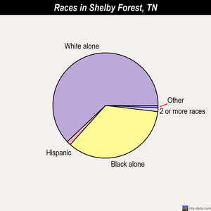 Shelby Forest races chart