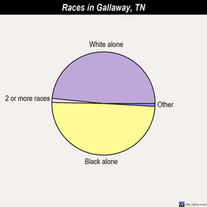 Gallaway races chart
