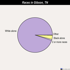 Gibson races chart