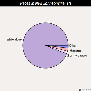 New Johnsonville races chart