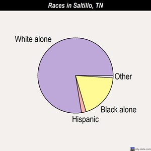 Saltillo races chart