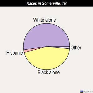 Somerville races chart