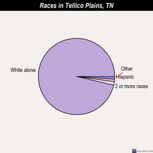 Tellico Plains races chart