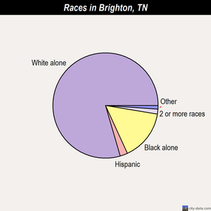 Brighton races chart