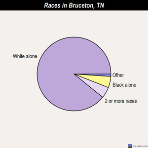 Bruceton races chart