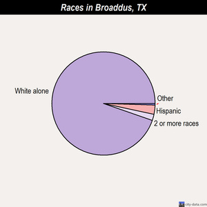Brookshire races chart