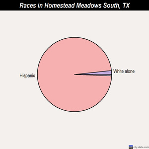 Homestead Meadows South races chart